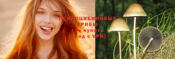 дмт Протвино