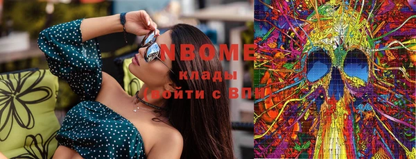 прущие грибы Осинники