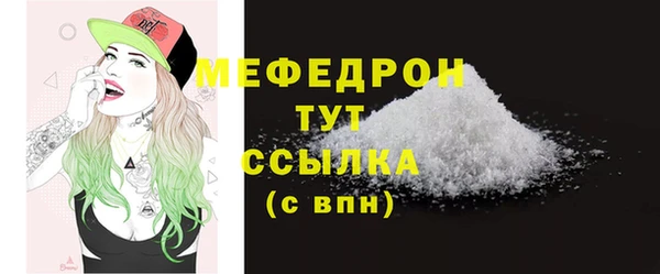 сатива Галич
