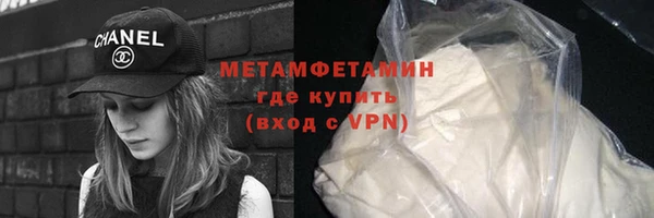 прущие грибы Осинники