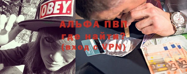 прущие грибы Осинники