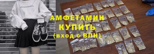 индика Новокубанск